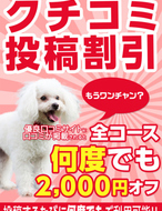 宮崎ちゃんこ中央通店-口コミ投稿割引2000円オフ！