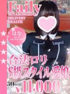 フェアリー-はな