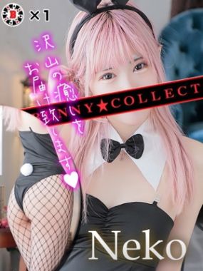 バニーコレクション中洲店-ネコ【小柄なロリバニー】