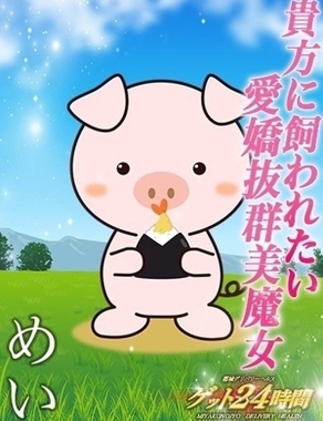 都城デリヘル ゲット24時間|めい