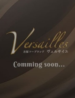 吉原高級ソープVersailles|りおん