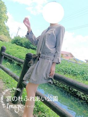 image-位菖-あやめ