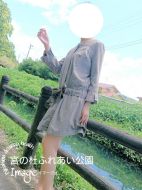 image-位菖-あやめ