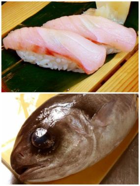 まん寿司くい姉-まんすじくいねぇ--めだいちゃん