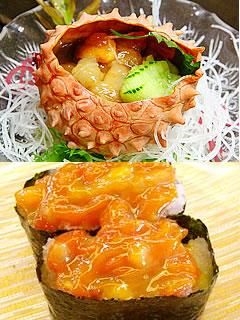 まん寿司くい姉-まんすじくいねぇ--新ホヤちゃん