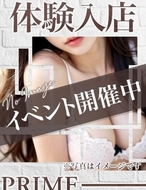 PRIME-うさぎ