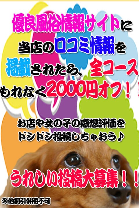 口コミ投稿割引最大2000円オフ！！ - 岐阜美濃加茂・可児ちゃんこ