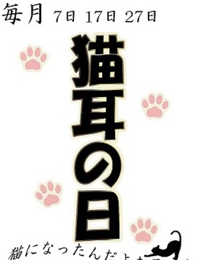 ビデオdeはんど新宿校|猫耳の日♪♪